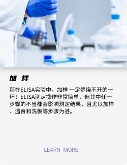 加樣
