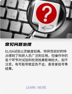 常見問題
